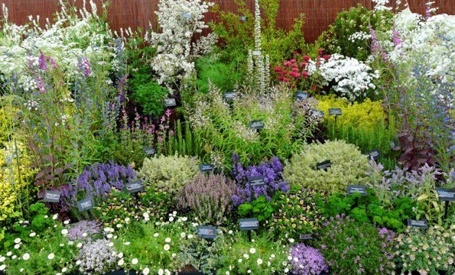 16 идей, из чего можно сделать красивую и практичную садовую дорожку | Дизайн участка (пластиковыеокнавтольятти.рф)